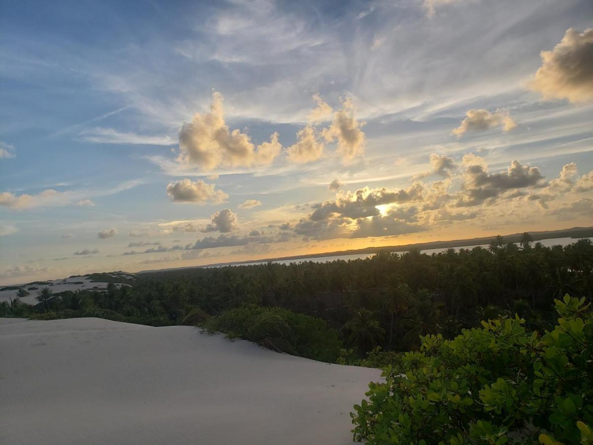 Grao De Areia Beira Mar Mangue Seco (Bahia)